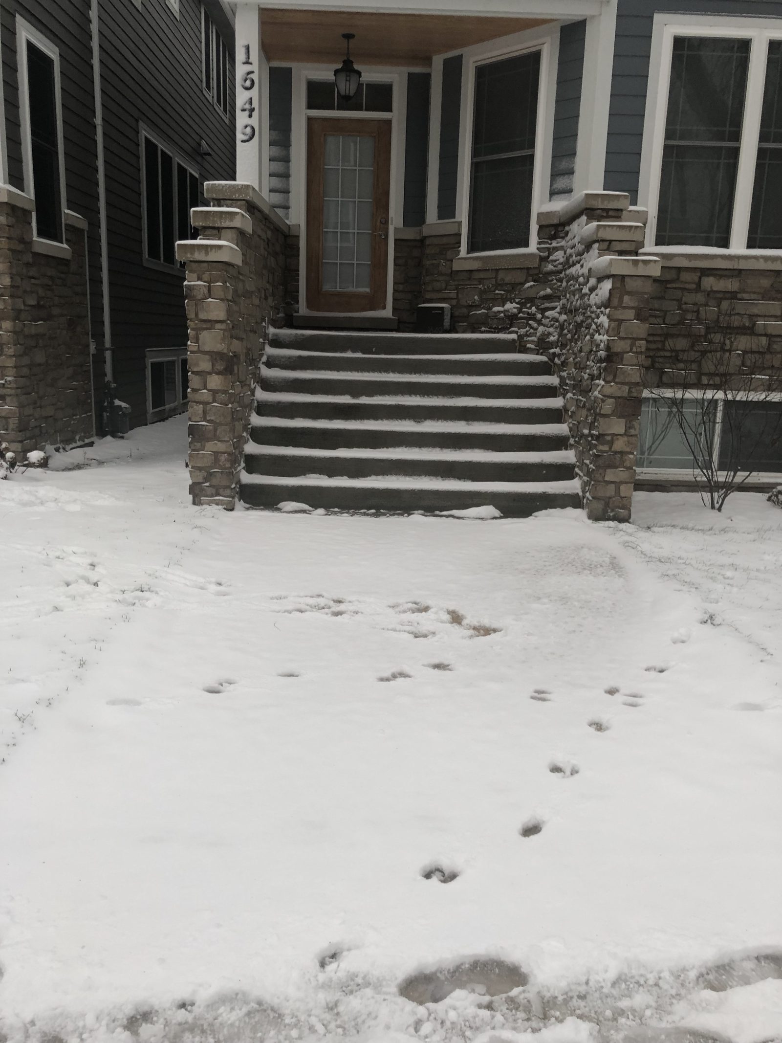 Chicago residential property before Snow Pushers arrived — walkway covered in snow, footprints across the yard