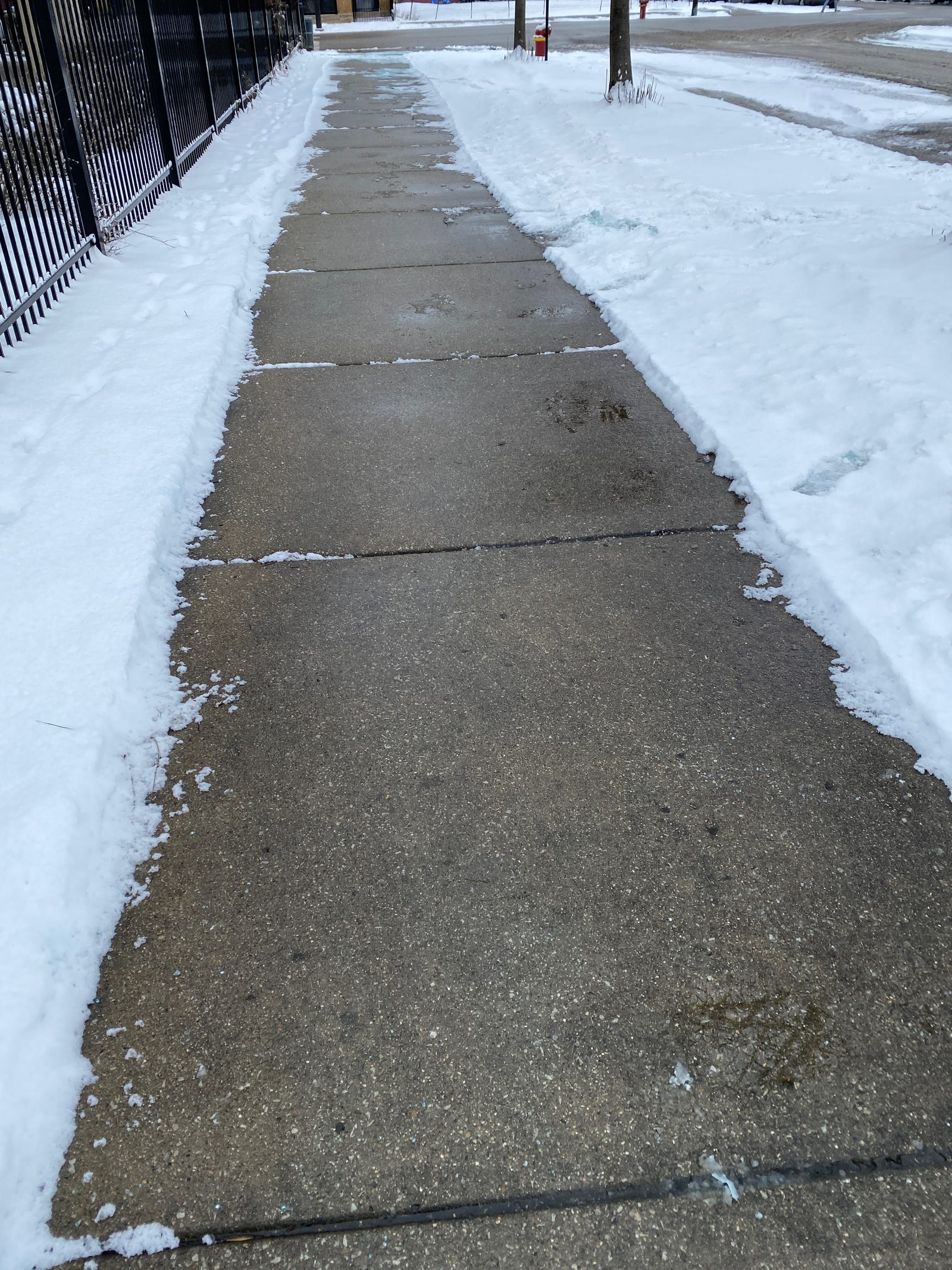 A long stretch of Chicago public sidewalk perfectly cleared by Snow Pushers, with snow banked cleanly on both sides along a wrought-iron fence
